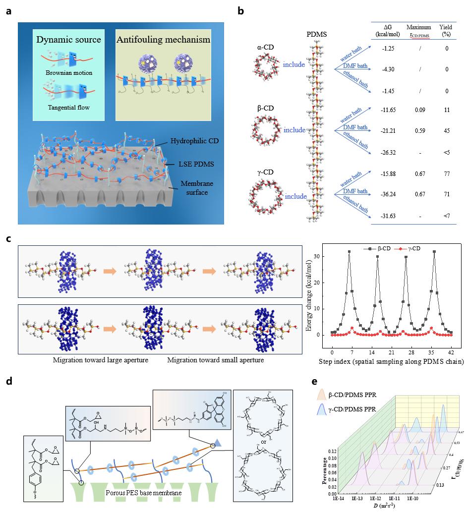 超分子结构与动态性模拟、表征