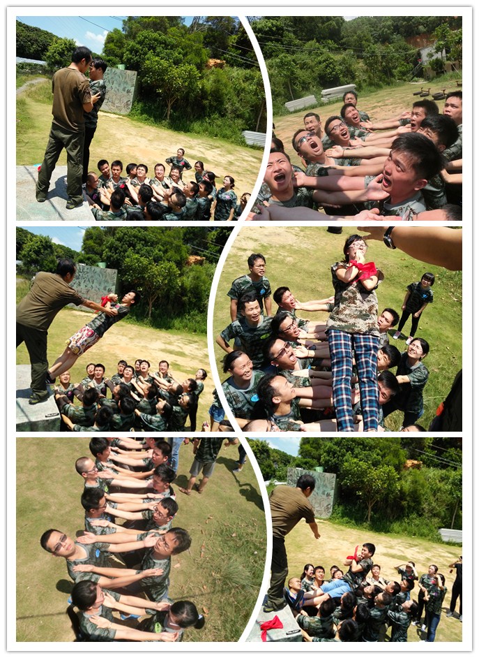 1472117237231080.jpg 信任背摔.jpg